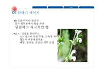 향기요법이란 향기요법의 역사 흡입법 마사지요법 증기요법 목욕법 스팀법-18