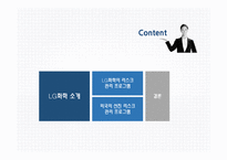 LG화학의리스크관리 LG화학 LG화학의리스크관리프로그램 외국의선진리스크관리프로그램-2