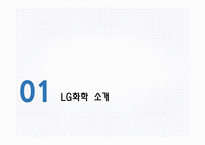 LG화학의리스크관리 LG화학 LG화학의리스크관리프로그램 외국의선진리스크관리프로그램-3
