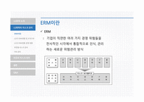LG화학의리스크관리 LG화학 LG화학의리스크관리프로그램 외국의선진리스크관리프로그램-9
