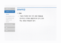 LG화학의리스크관리 LG화학 LG화학의리스크관리프로그램 외국의선진리스크관리프로그램-10