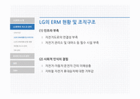 LG화학의리스크관리 LG화학 LG화학의리스크관리프로그램 외국의선진리스크관리프로그램-11
