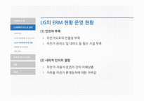 LG화학의리스크관리 LG화학 LG화학의리스크관리프로그램 외국의선진리스크관리프로그램-12