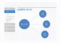 LG화학의리스크관리 LG화학 LG화학의리스크관리프로그램 외국의선진리스크관리프로그램-13
