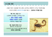 생체모방기술 생체모방기술의 개념 생체모방기술의 분류 생체 모방 사례 이스트게이트 센터 바이오 에너지 동물행동모방-20