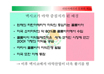 라틴아메리카 문화와 예술 멕시코 갱단과 마약 멕시코에서 마약산업 마약과의 전쟁 멕시코 마약전쟁과 미국-3