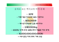 라틴아메리카 문화와 예술 멕시코 갱단과 마약 멕시코에서 마약산업 마약과의 전쟁 멕시코 마약전쟁과 미국-4