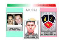 라틴아메리카 문화와 예술 멕시코 갱단과 마약 멕시코에서 마약산업 마약과의 전쟁 멕시코 마약전쟁과 미국-14