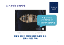 문화비평 방법론 문화비평의 기능 좋은 비평 문화 비평의실제적 적용 사회문화적 영향력 기호학과 문화비평 정신분석학과 문화비평 문화비평의 기능-7