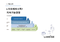 라네즈 화장품시장 라네즈 미국시장진출 아모레퍼시픽 라네즈분석 브랜드마케팅 서비스마케팅 글로벌경영 사례분석 swot stp 4p-5