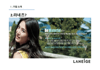 라네즈 화장품시장 라네즈 미국시장진출 아모레퍼시픽 라네즈분석 브랜드마케팅 서비스마케팅 글로벌경영 사례분석 swot stp 4p-8