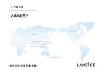 라네즈 화장품시장 라네즈 미국시장진출 아모레퍼시픽 라네즈분석 브랜드마케팅 서비스마케팅 글로벌경영 사례분석 swot stp 4p-10