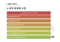 라네즈 화장품시장 라네즈 미국시장진출 아모레퍼시픽 라네즈분석 브랜드마케팅 서비스마케팅 글로벌경영 사례분석 swot stp 4p-11