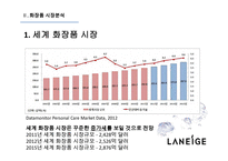 라네즈 화장품시장 라네즈 미국시장진출 아모레퍼시픽 라네즈분석 브랜드마케팅 서비스마케팅 글로벌경영 사례분석 swot stp 4p-12