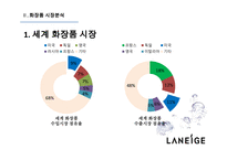 라네즈 화장품시장 라네즈 미국시장진출 아모레퍼시픽 라네즈분석 브랜드마케팅 서비스마케팅 글로벌경영 사례분석 swot stp 4p-13