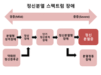 정신분열 스펙트럼 장애 분열형 성격장애 망상 장애 정신분열형장애 정신증후군 정신분열증 정신분열증의 정의-2