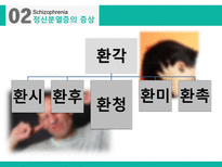 정신분열 스펙트럼 장애 분열형 성격장애 망상 장애 정신분열형장애 정신증후군 정신분열증 정신분열증의 정의-10