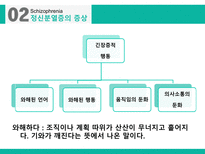 정신분열 스펙트럼 장애 분열형 성격장애 망상 장애 정신분열형장애 정신증후군 정신분열증 정신분열증의 정의-11