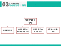 정신분열 스펙트럼 장애 분열형 성격장애 망상 장애 정신분열형장애 정신증후군 정신분열증 정신분열증의 정의-12