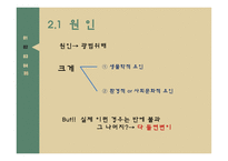 정신지체 정신지체원인 정신지체특성 정신지체치료교육 정신지체현황-16