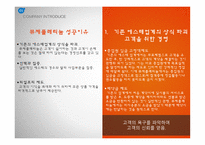 국제마케팅 Speed Fresh전략화 변화하는기업 글로벌경쟁력의변화 성공사례 실폐사례 사례를통한비교분석 향후전망과과제-15
