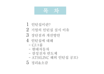 인턴십이란 기업의 인턴십 CJ그룹 인턴십 현대자동차 인턴십 삼성전자 인턴십 해외 인턴십-2
