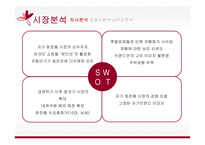 미샤 마케팅 미샤 화장품시장 미샤 경영전략 브랜드마케팅 미샤 서비스마케팅 글로벌경영 미샤 사례분석-10