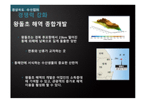 한중FTA그리고경북의수산업 경북의수산업 한중FTA 천해양식어업 일반 해면어업 SWOT 분석-15