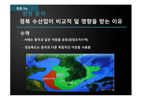 한중FTA그리고경북의수산업 경북의수산업 한중FTA 천해양식어업 일반 해면어업 SWOT 분석-20