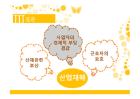 산업재해보험제도 산재근로자 사회보험방식 무과실책임주의 불법체류자 산재보상 산재관련 보상 산업재해-18