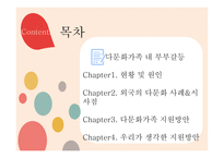다문화가족 부부갈등 외국의 다문화 사례 다문화가족 지원 부부갈등의 원인 외국의 다문화-2