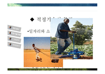 ODA와 적정기술 적정기술이란 적정기술 사례분석 적정기술 사업 ODA와 극 빈곤층 ODA의 부작용 적정기술의 출현-10