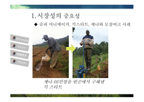 ODA와 적정기술 적정기술이란 적정기술 사례분석 적정기술 사업 ODA와 극 빈곤층 ODA의 부작용 적정기술의 출현-12