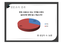 도시브랜드사업 도시브랜드란 도시브랜드현황 도시브랜드사업의장점 도시브랜드사업의단점 해외및국내성공사례-12