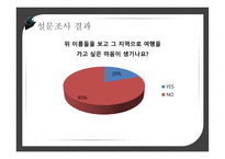 도시브랜드사업 도시브랜드란 도시브랜드현황 도시브랜드사업의장점 도시브랜드사업의단점 해외및국내성공사례-14