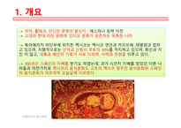아메리카의음식문화 멕시코음식의특징 멕시코지역별음식의특징 멕시코일상식 멕시코특별식 멕시코대표음식 멕시코의식사예절-4