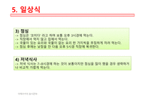 아메리카의음식문화 멕시코음식의특징 멕시코지역별음식의특징 멕시코일상식 멕시코특별식 멕시코대표음식 멕시코의식사예절-10
