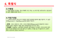 아메리카의음식문화 멕시코음식의특징 멕시코지역별음식의특징 멕시코일상식 멕시코특별식 멕시코대표음식 멕시코의식사예절-12