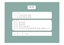 청년실업의 현황 청년실업의 원인 청년실업대책 노동시장 인프라 인턴 추진사업 청년 맞춤형 일자리-2
