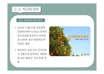 청년실업의 현황 청년실업의 원인 청년실업대책 노동시장 인프라 인턴 추진사업 청년 맞춤형 일자리-17