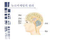 뉴로마케팅 마케팅과 뇌과학 뉴로마케팅의 원리 뇌구조 테스트 마케팅과 뇌과학 블라인드 테스트 뉴로마케팅의 원리 앵커리지-8