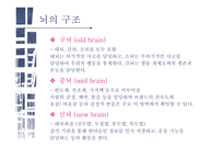 뉴로마케팅 마케팅과 뇌과학 뉴로마케팅의 원리 뇌구조 테스트 마케팅과 뇌과학 블라인드 테스트 뉴로마케팅의 원리 앵커리지-9