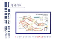뉴로마케팅 마케팅과 뇌과학 뉴로마케팅의 원리 뇌구조 테스트 마케팅과 뇌과학 블라인드 테스트 뉴로마케팅의 원리 앵커리지-10