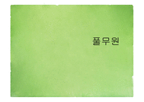 풀무원 기업분석 풀무원마케팅 풀무원 인사관리 풀무원 브랜드마케팅 서비스마케팅 글로벌경영 사례분석-1