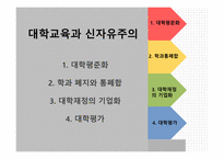 대학교육과신자유주의 대학평준화 학과폐지와통페합 대학재정의기업화 대학평가-2