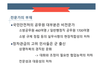 국민안전처의 개요 국민안전처의 문제점 국민안전처의 조직도 마스터플랜의 소개 재난관리표준체계-10