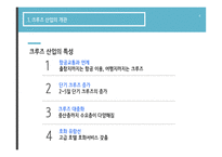 크루즈 산업 크루즈 산업 개관 해외 크루즈 산업의 사례 국내 크루즈 산업의 현황-4