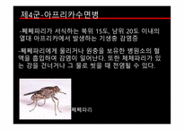 질병과 건강 전염병 HIV AIDS 전염병이란 법정전염병의 종류 장티푸스 B형 간염 말라리아 아프리카수면병-11