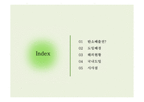탄소배출권 거래제도 탄소배출권 탄소배출권 거래제도 기후변화 협상 동향 탄소배출권 거래제 현황-2