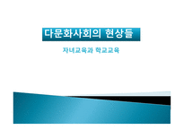 다문화사회의현상들 자녀교육과학교육 다문화교육정책의변천과정 다문화가정현황및일반적실태-1